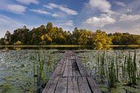 River Sava in Nature Park Lonjsko Polje, Croatia