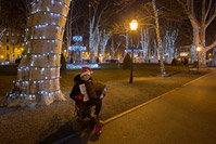 Adventski harmonikaš na Zrinjevcu, Zagreb 