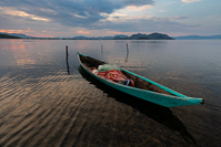 Dawn on the river Neretva delta, Dalmatia, Croatia