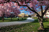 Art Pavilion and magnolia tree on square of king Tomislav in Zagreb, Croatia