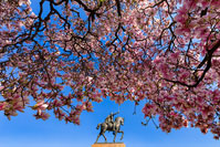 Monument of Croatia's first king Tomislav in Zagreb, Croatia